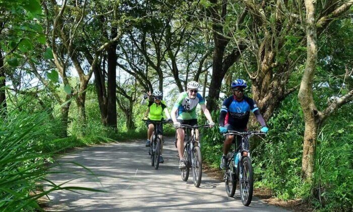 Three people riding bicycles down a path in the woods. Kasaragod Kerala