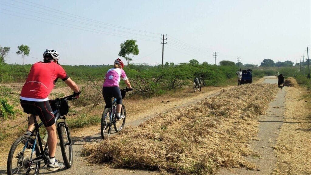 Cycling from Mysore to Bandipur Masinagudi