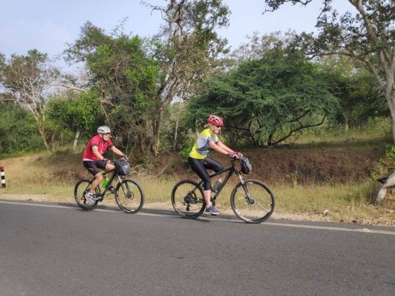 Two cyclists wearing helmets and cycling gear ride along a paved road surrounded by lush greenery and trees.