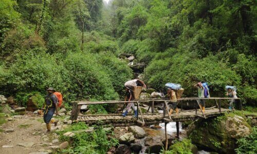 A group of hikers crossing a rustic wooden bridge over a stream in a lush green forest.