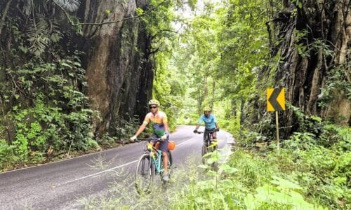 Two cyclists pedal down a offbeat path, surrounded by greenery on their journey to Munnar.
