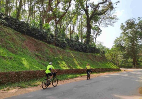 Coffee Trails Chikmagalur