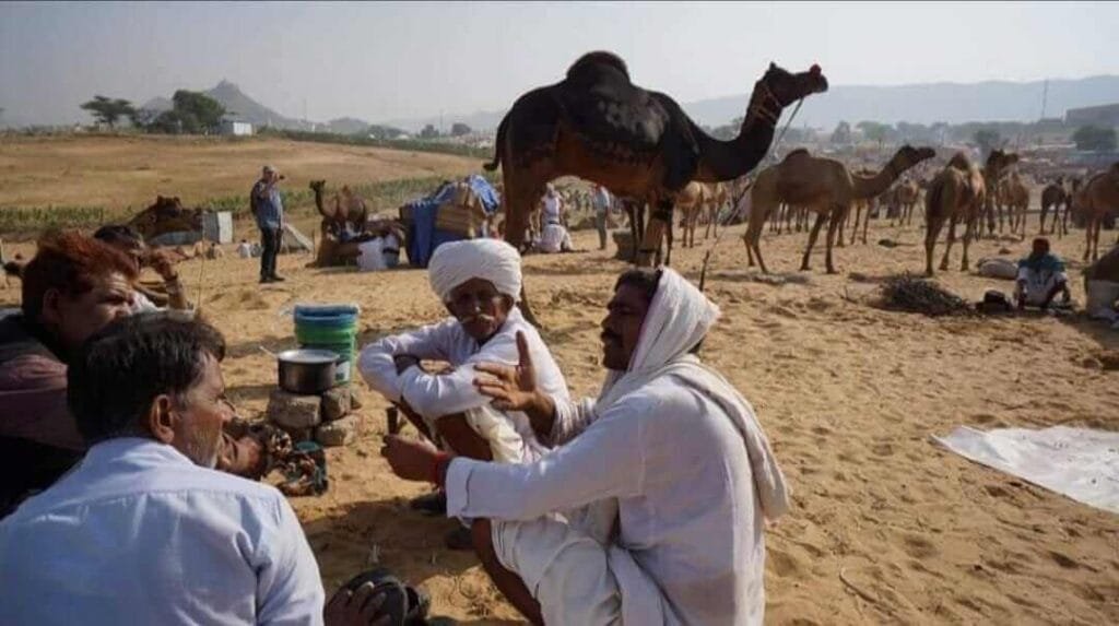 Rural Life Rajasthan