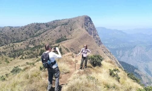 The Meeshapulimala trek in Kerala, showcasing trekkers ascending through mist-covered hills and verdant landscapes, with breathtaking views of the Western Ghats.