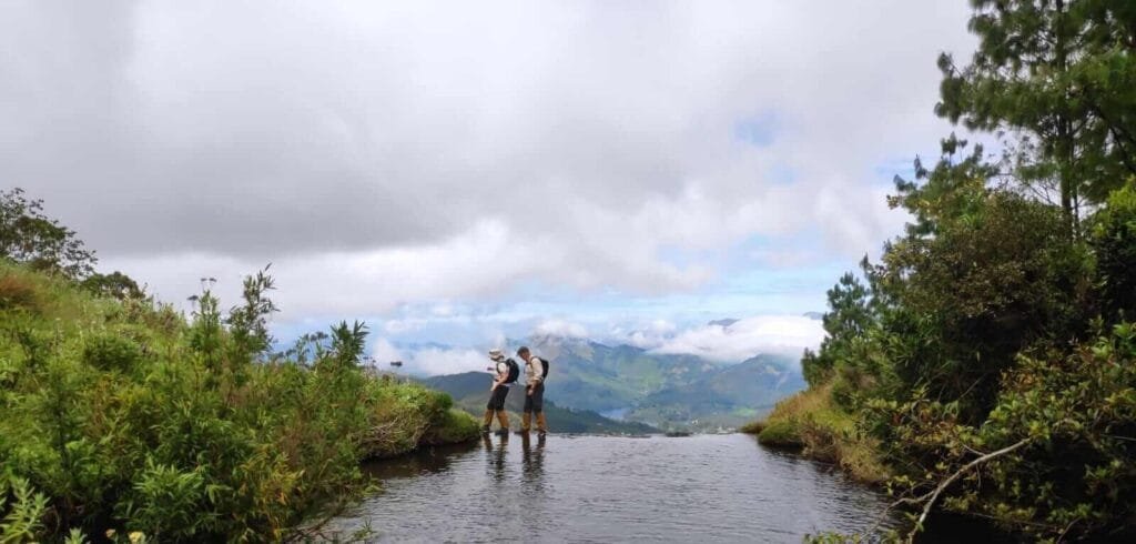 Trekkers on the Meeshapulimala trail in Kerala, making their way through misty mountains and lush green landscapes, with the majestic Western Ghats as a backdrop.