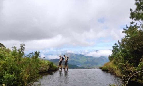 Trekkers on the Meeshapulimala trail in Kerala, making their way through misty mountains and lush green landscapes, with the majestic Western Ghats as a backdrop.
