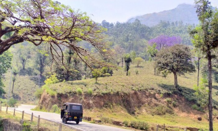 A scenic landscape with lush green trees, rolling hills, and a dirt road winding through the countryside. A small vehicle can be seen driving along the road, adding a sense of scale and transportation to the serene natural setting.