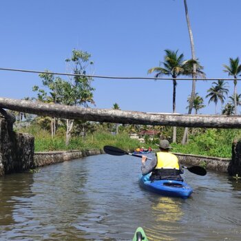 A serene kayaking experience through the narrow canals of Alleppey, Kerala, with traditional village homes and lush greenery lining the waterways, capturing the tranquil beauty of Kerala's backwaters.