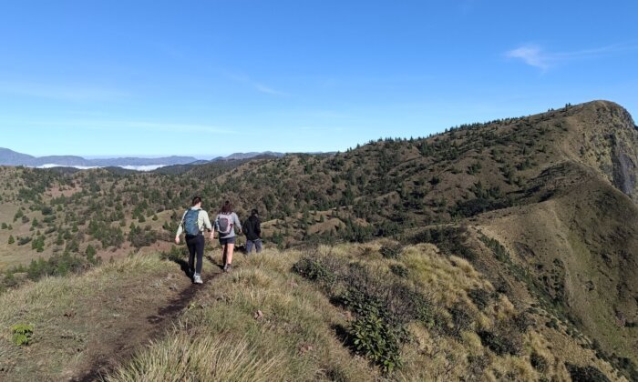 A breathtaking view of Meesapulimala, the second-highest peak in Kerala, with rolling hills and mist-covered landscapes, perfect for trekking and nature enthusiasts.