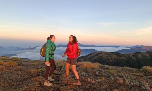 A majestic view from the highest point of Meesapulimala, Kerala, with panoramic vistas of the Western Ghats, offering a sense of accomplishment and awe for trekkers.