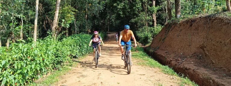 Two people biking on a dirt path surrounded by trees in a lush forest.