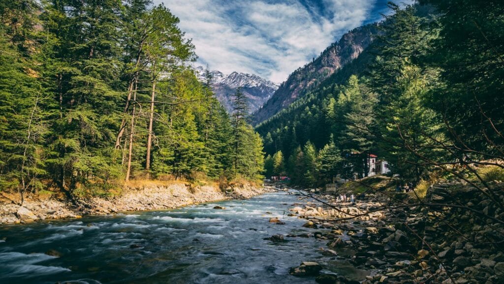 A summer river flows through the Himalayan mountains, surrounded by lush green trees.