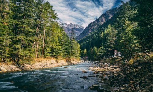 A summer river flows through the Himalayan mountains, surrounded by lush green trees.