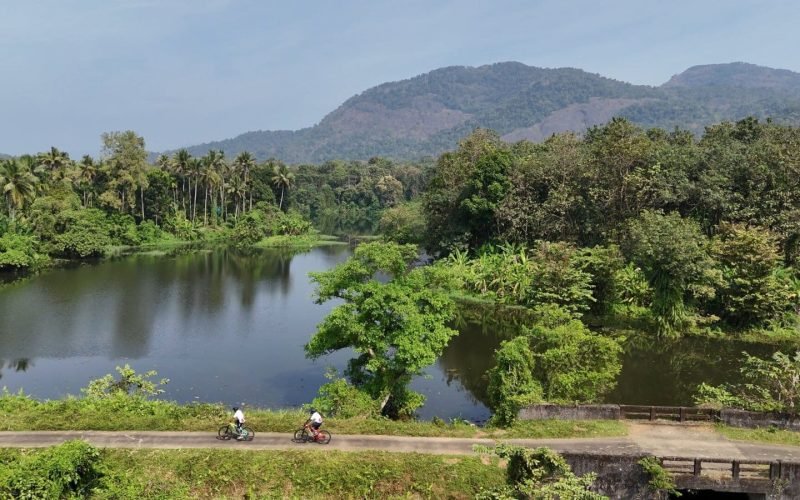 Neriyamangalam Cycling A cyclist riding through the lush green tea plantations of Munnar, Kerala, with misty hills in the background, capturing the serene and refreshing environment of the region.